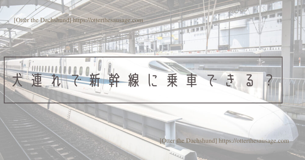 Blog Header image_犬と旅行_犬連れ旅行_travel tips for riding on the bullet train with dogs_Otter the Dachshund_犬連れ新幹線の乗り方完全マニュアル_犬連れで新幹線に乗車できる？
